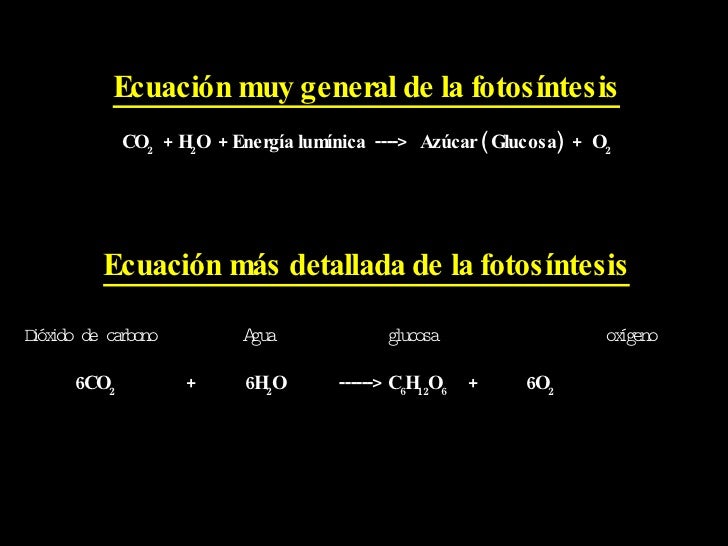 Fotosintesis y su ecuacion 99 Fotosintesis y su ecuacion 38